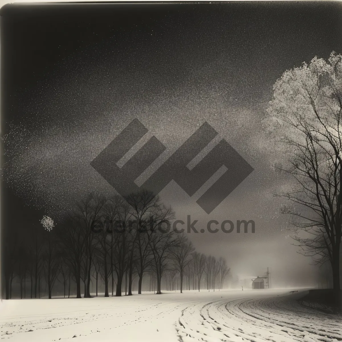 Picture of Winter Wonderland: Charming snowy forest scene with frost-covered trees