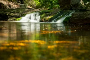 Serene waterfall in tranquil forest landscape.