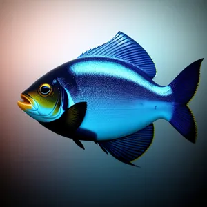 Orange Goldfish Swimming in Tropical Aquarium