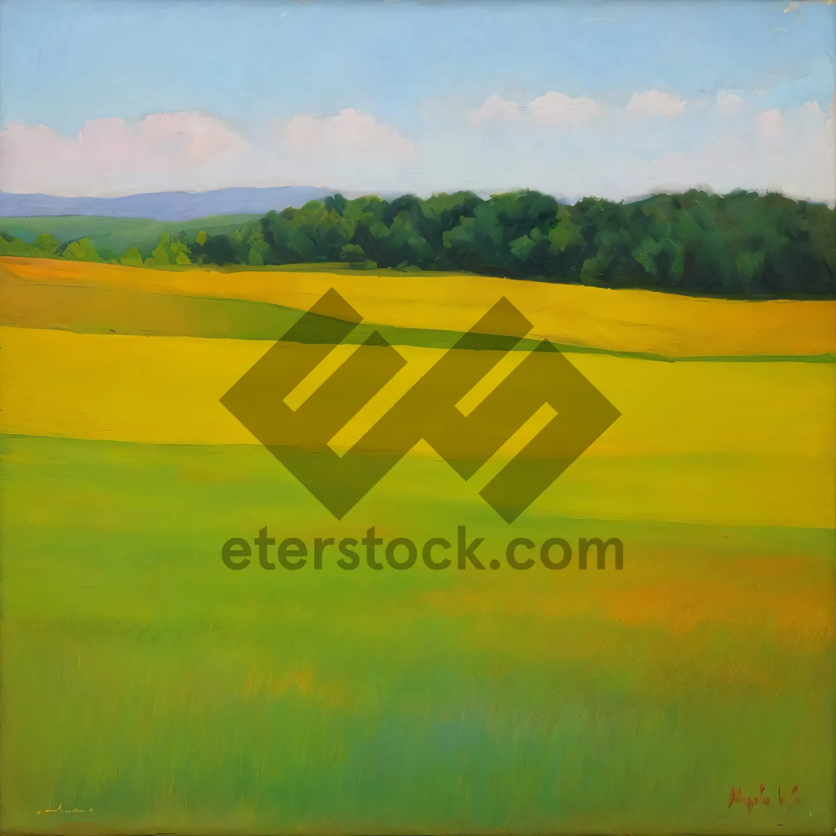 Picture of Golden Wheat Field Under Clear Blue Sky