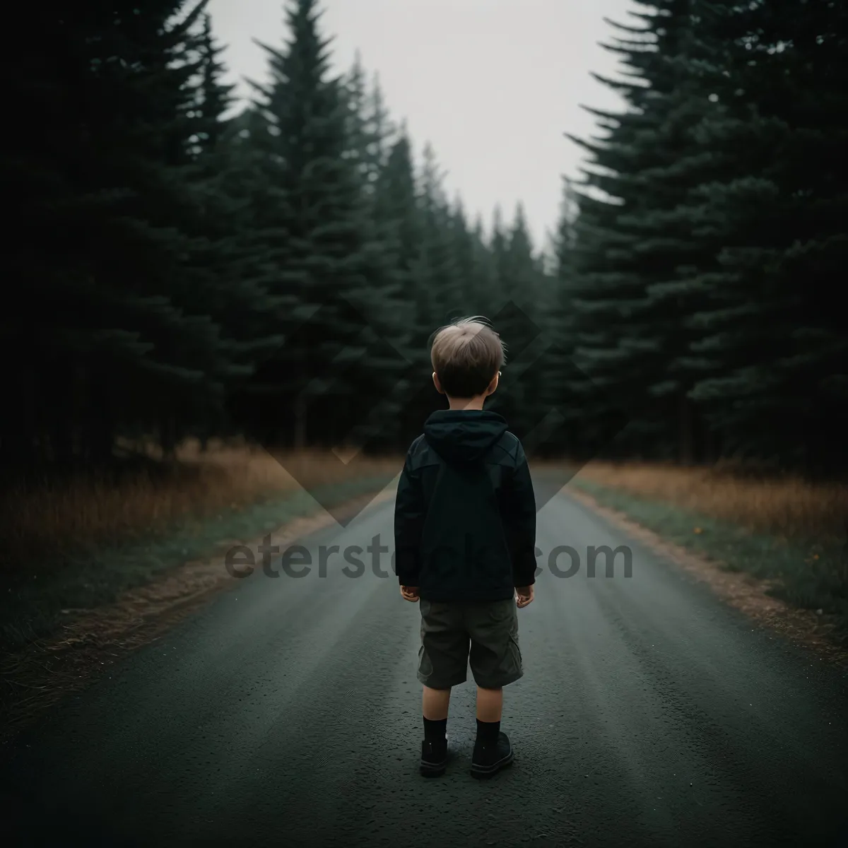 Picture of Pedestrian walking on road in park