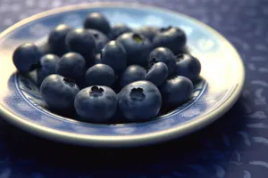 Fresh Blueberries - Delicious and Nutritious Berries