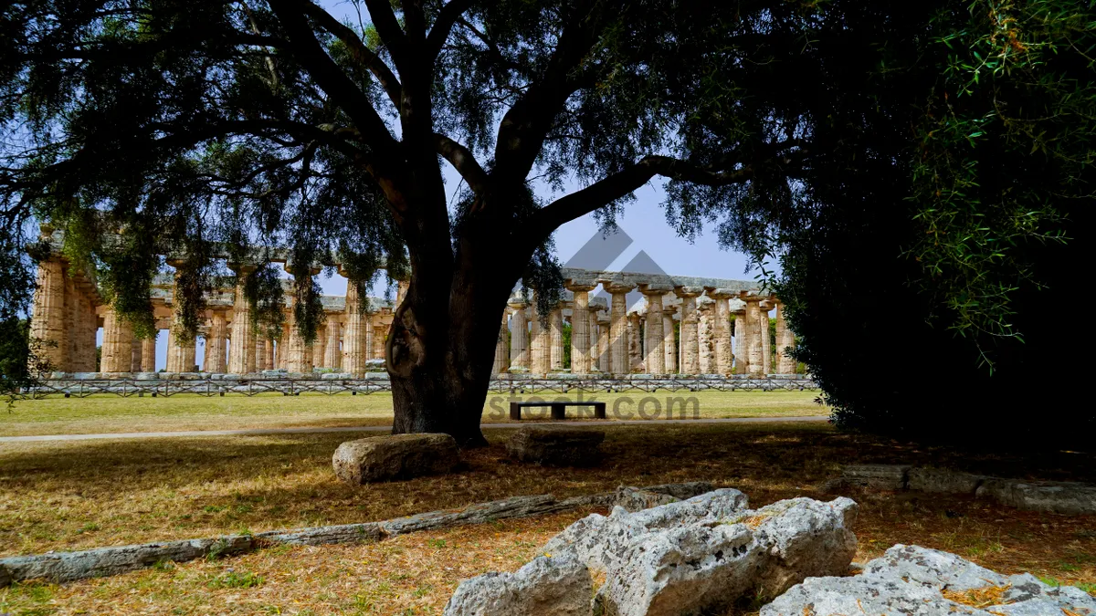 Picture of Ancient stone memorial in park cemetery landscape.