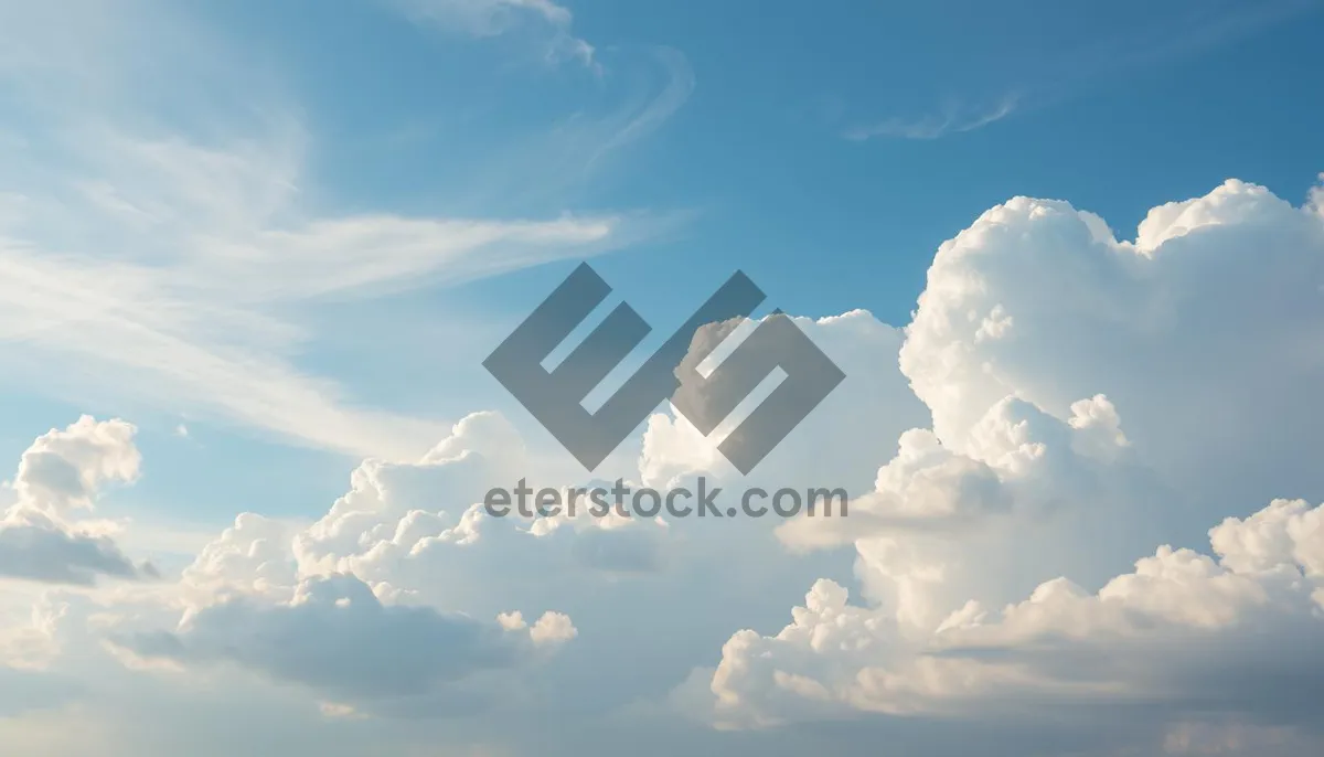 Picture of Bright sunny summer landscape with fluffy clouds.