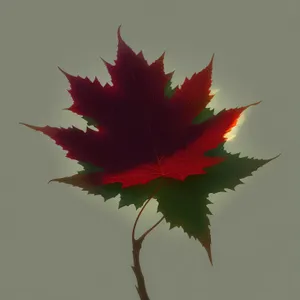 Vibrant Autumn Maple Leaf in Fall Foliage