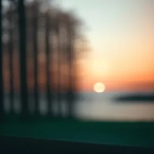 Sunset Silhouette Amongst Water's Orange Glow