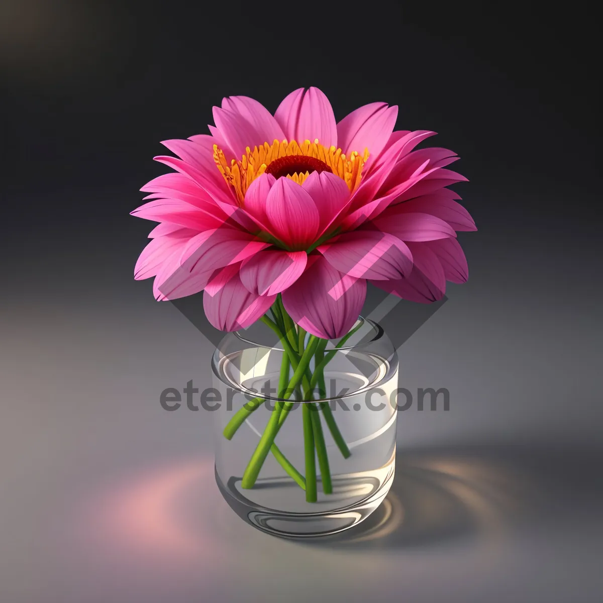 Picture of Vibrant Blossoming Daisy in Colorful Floral Display.