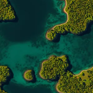 Vibrant Coral Reef in Ocean Waters