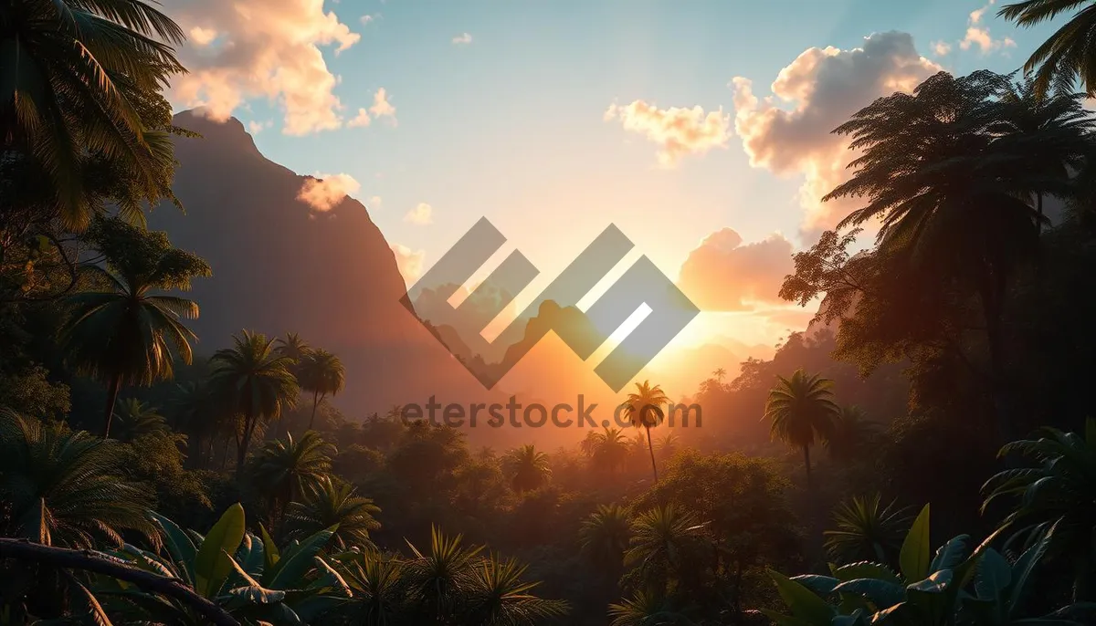 Picture of Orange Sunset Silhouette over Mountain Landscape Sky