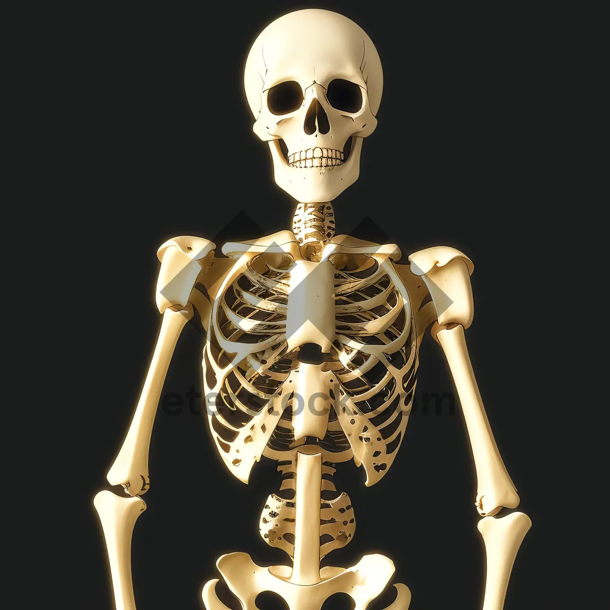 Picture of X-Ray Skeleton Figure: Captivating 3D Pirate Horror Pose