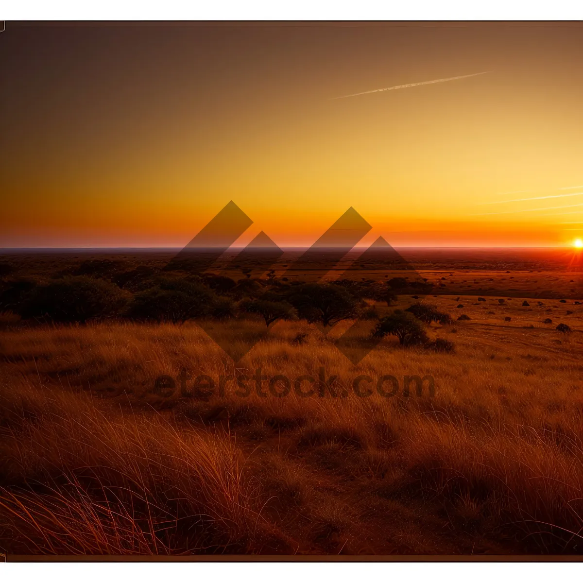 Picture of Golden Horizon over Serene Ocean Sparkling at Dusk