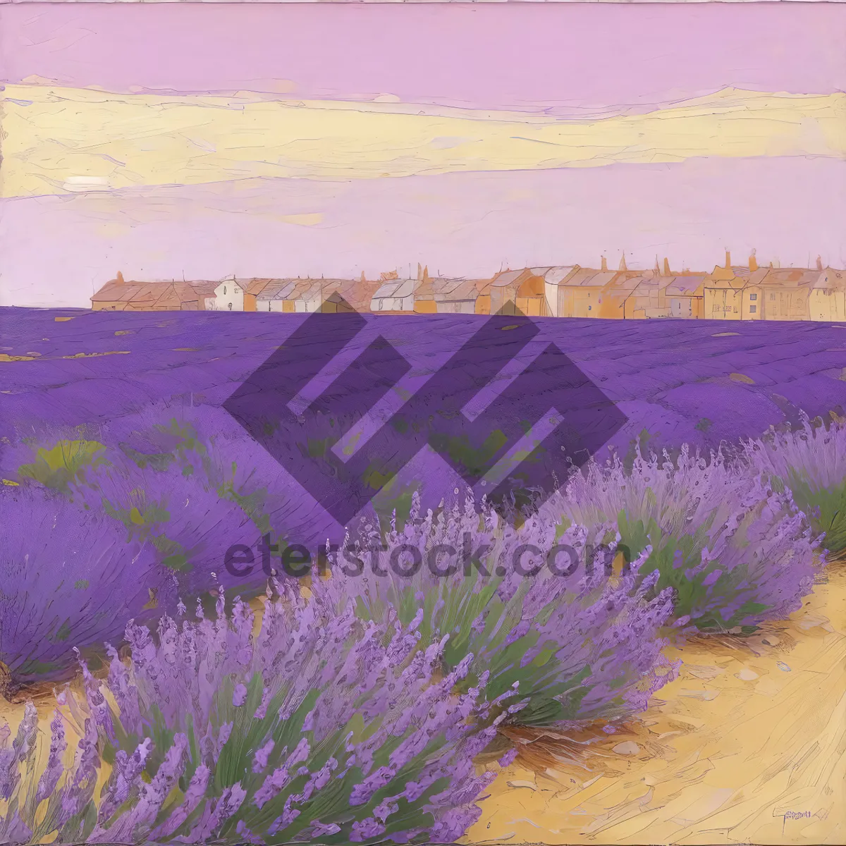 Picture of Purple Lavender Blooms Amidst Picturesque Rural Landscape