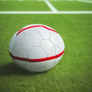 Round leather soccer ball on grass field