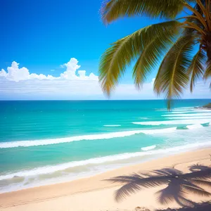 Turquoise Tropic Shore: Serene Beachscape with Palm Trees