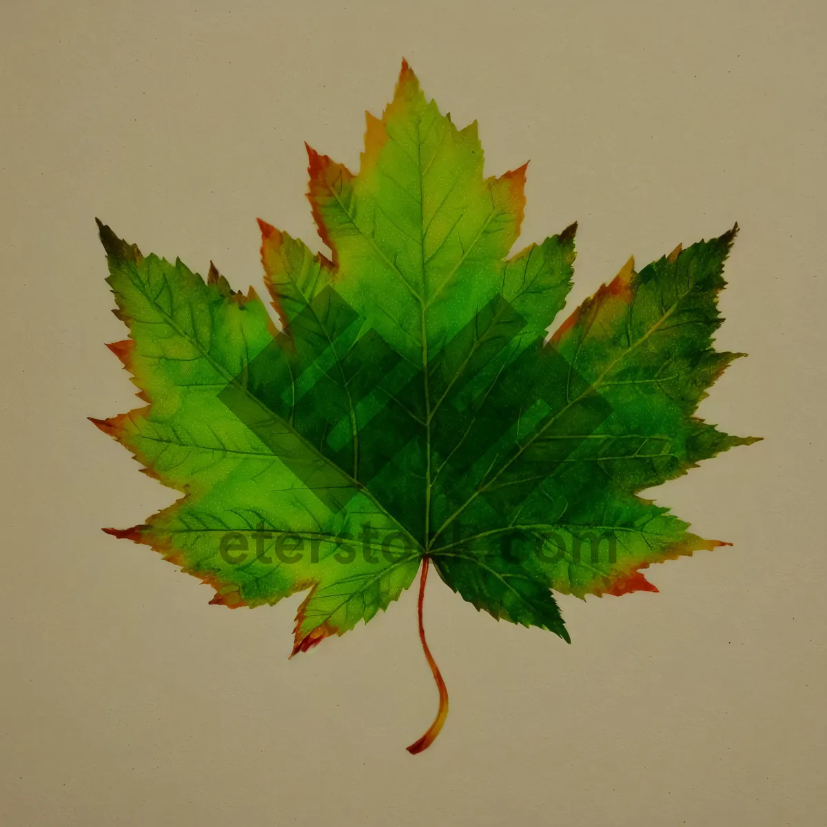 Picture of Vibrant Autumn Maple Leaf Branch Decoration