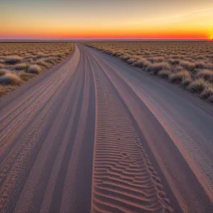 Scenic Road in the Desert