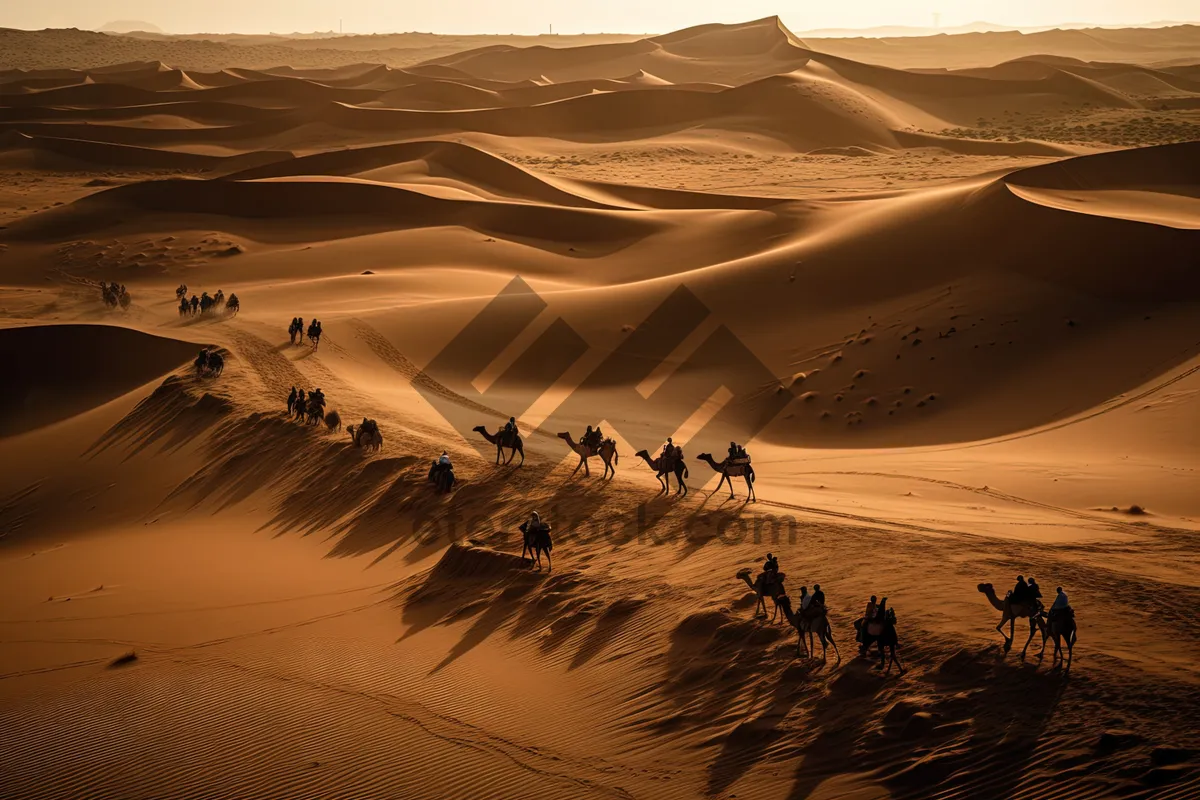 Picture of Scorching Desert Sun: A Summer Landscape Adventure