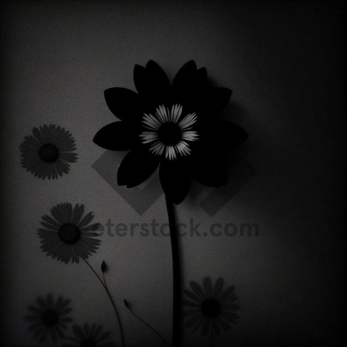 Picture of Blooming Floral Star in Decorative Silhouette