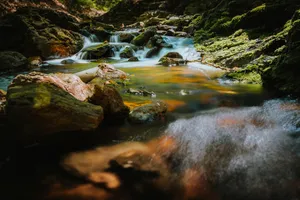 Nature's Tranquil Waterfall in the Summer Wilderness