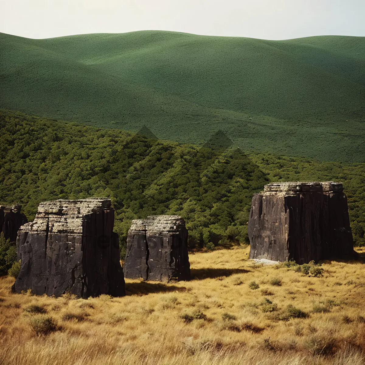 Picture of Ancient Megalithic Memorial in Rural Landscape