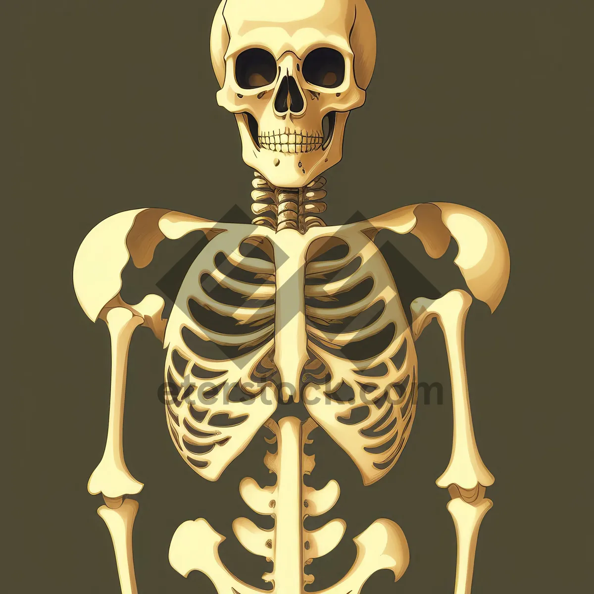 Picture of Anatomical 3D Skull and Spine X-ray Graphic