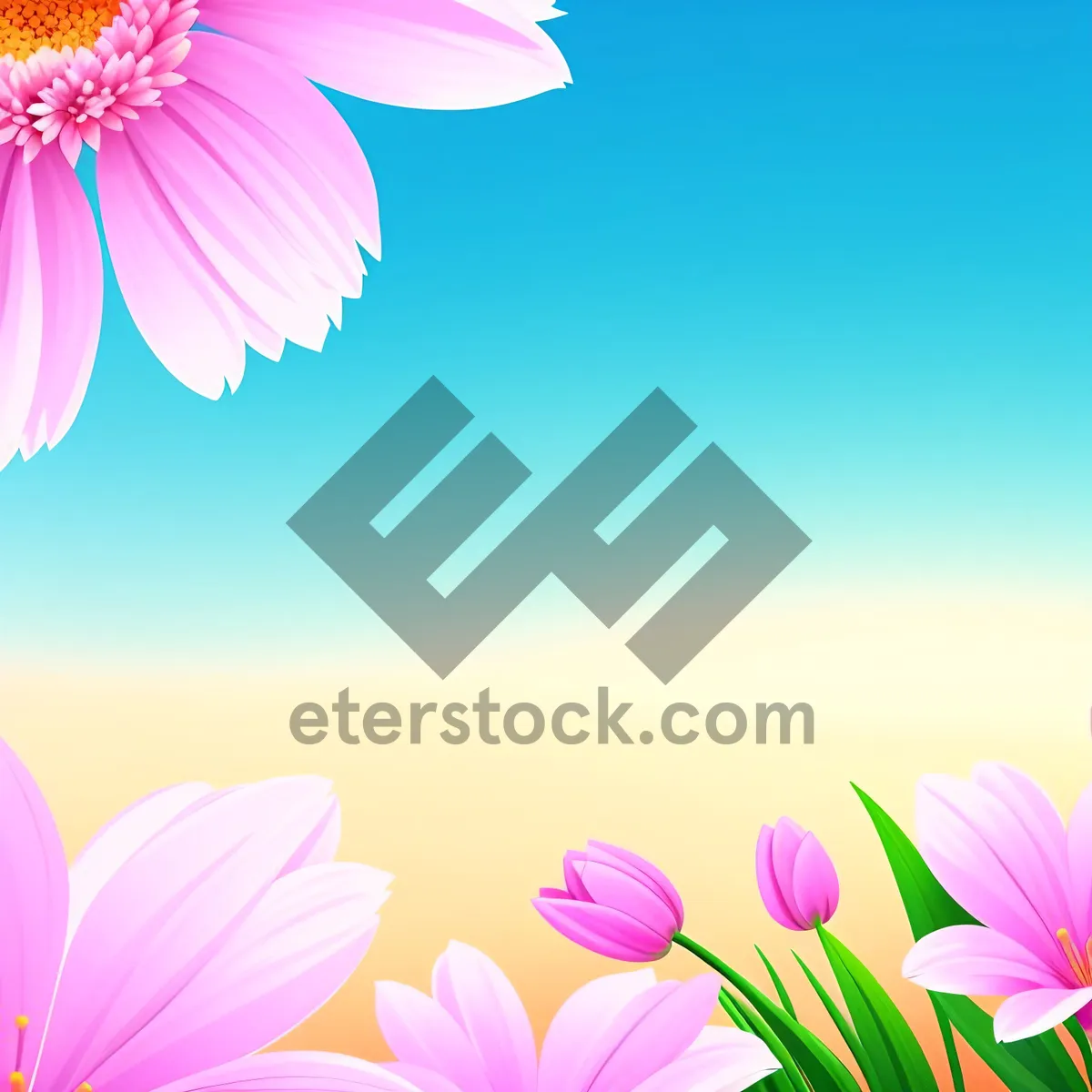 Picture of Colorful Floral Design: Pink Petal Blossom in Summer Garden