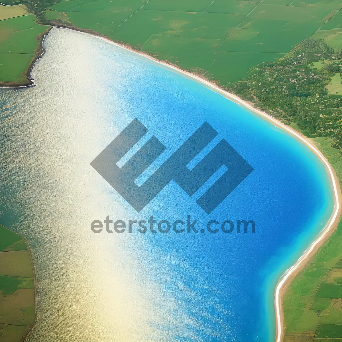 Picture of Tropical Stingray Gliding Along Ocean Waves