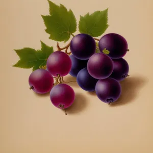Juicy Grape Bunch - Fresh and Healthy Fruit Image