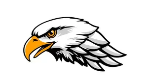 Black bird icon design silhouette graphic cartoon.