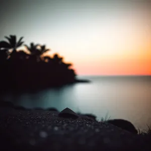 Serenity at Sunset: Coastal Horizon with Silhouetted Palm Trees