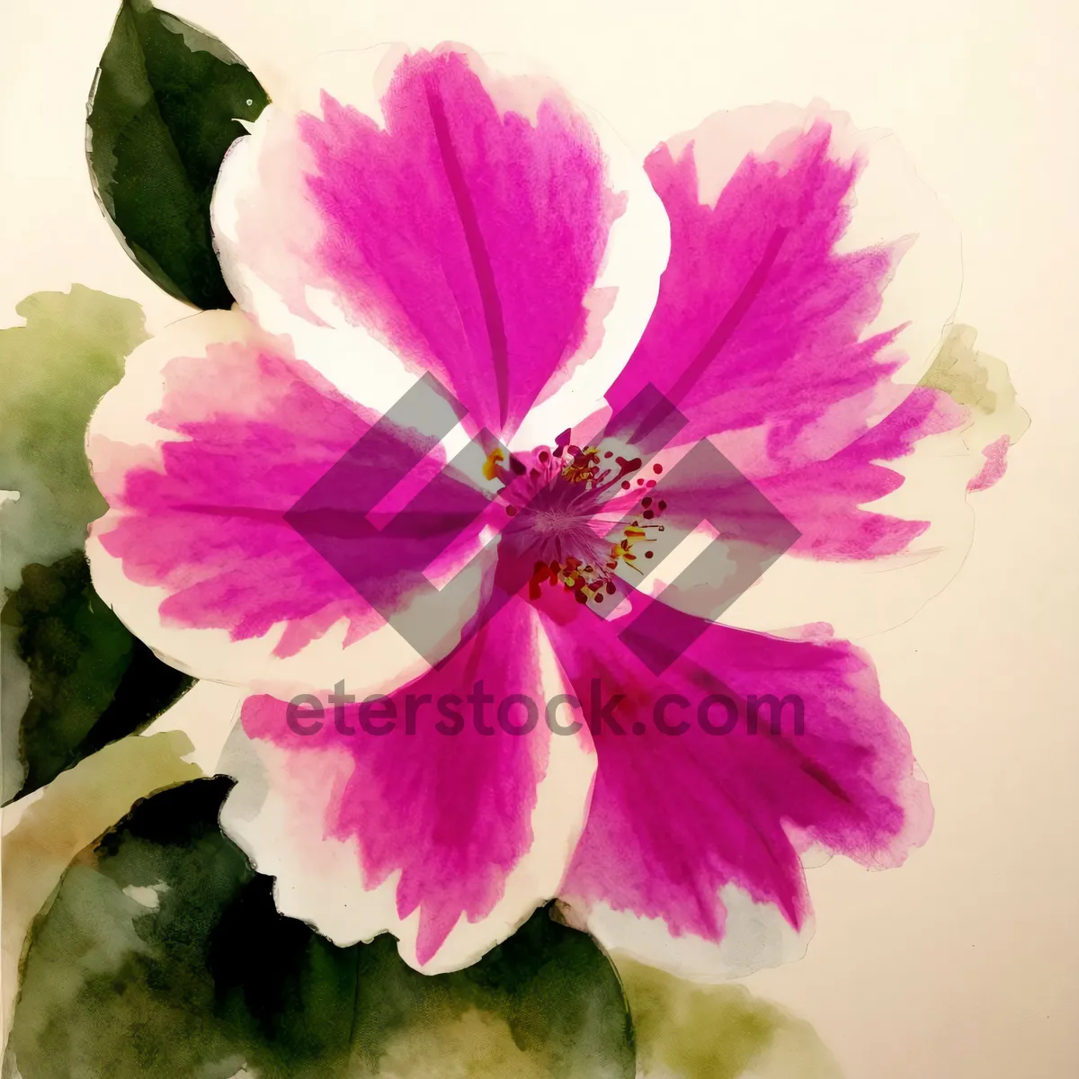 Picture of Pink Blossoming Mallow in Summer Garden