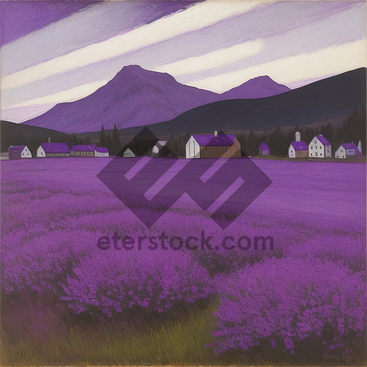 Picture of Colorful Lavender Field with Moss Pink Canvas Tent