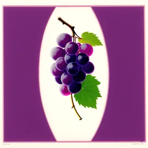 Delicious Vine-Ripened Grapes: A Festive Fruit Decoration