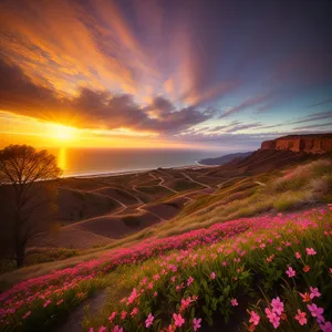 Golden Horizon: Majestic Highland Sunset in Rural Landscape