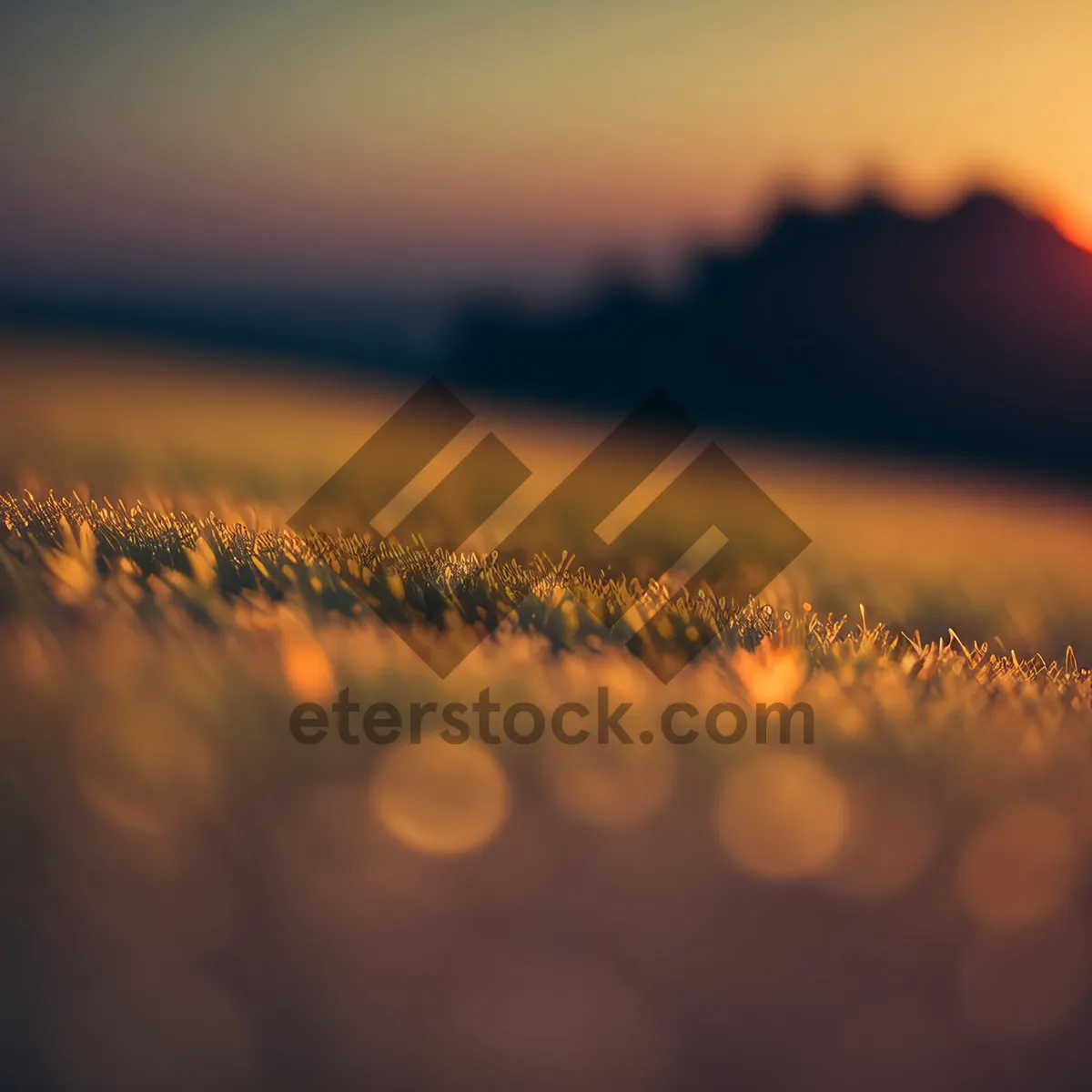Picture of Golden Horizon: Captivating Sunset Over Summer Landscape