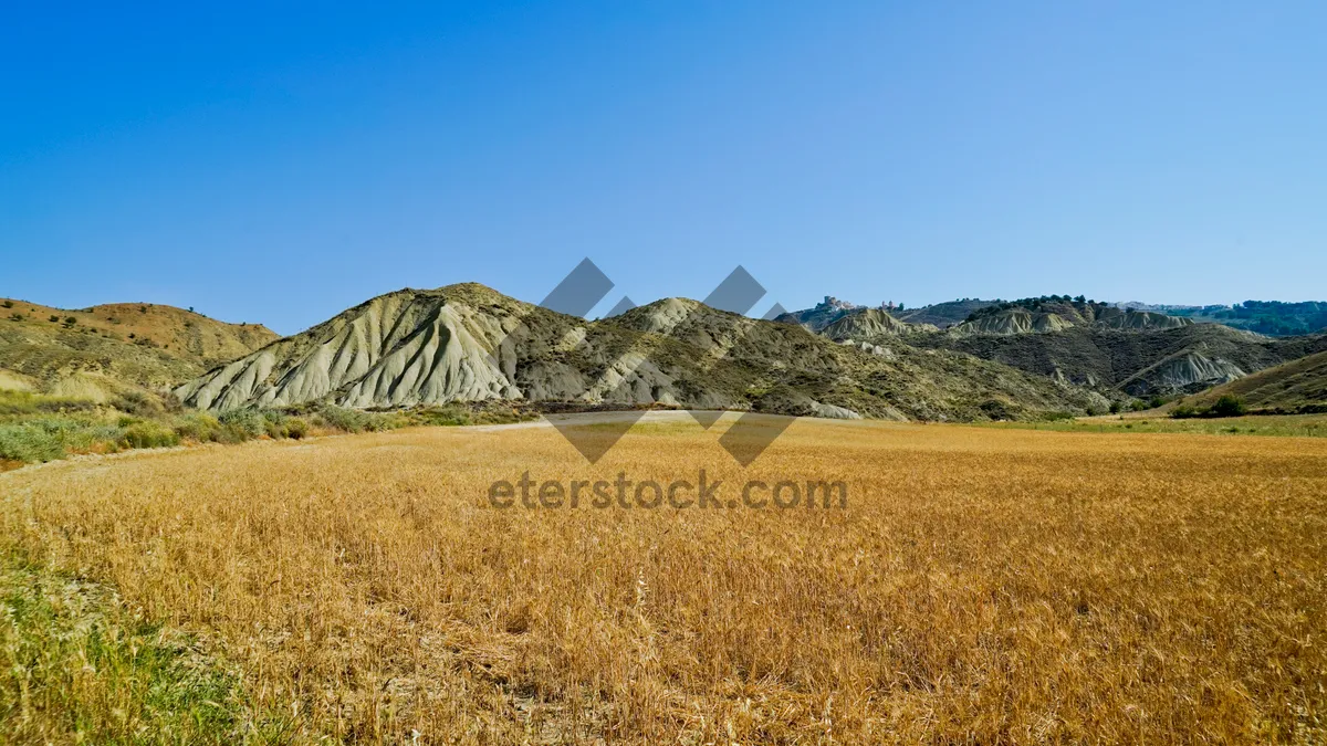 Picture of panorama of the Lucanian badlands park, geological sandstone formations