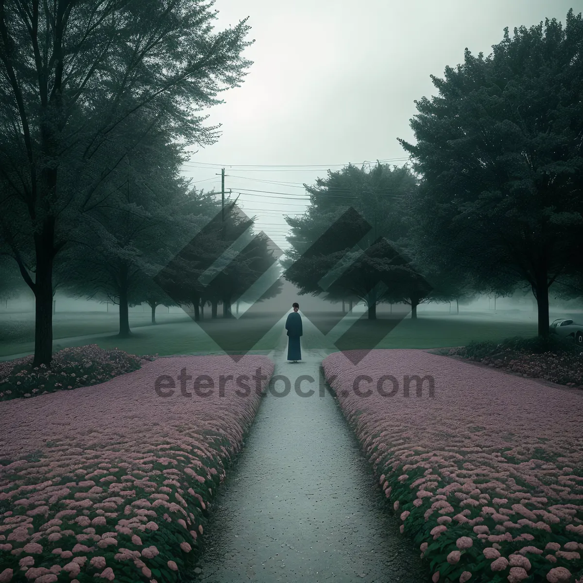 Picture of Scenic Road: Lakeside Serenity Amidst Country Landscape.