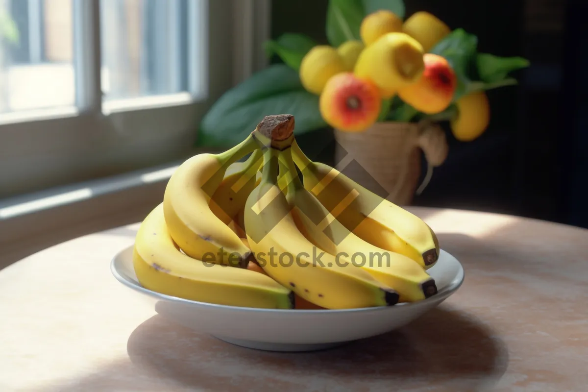 Picture of Fresh Banana and Plantain Fruits