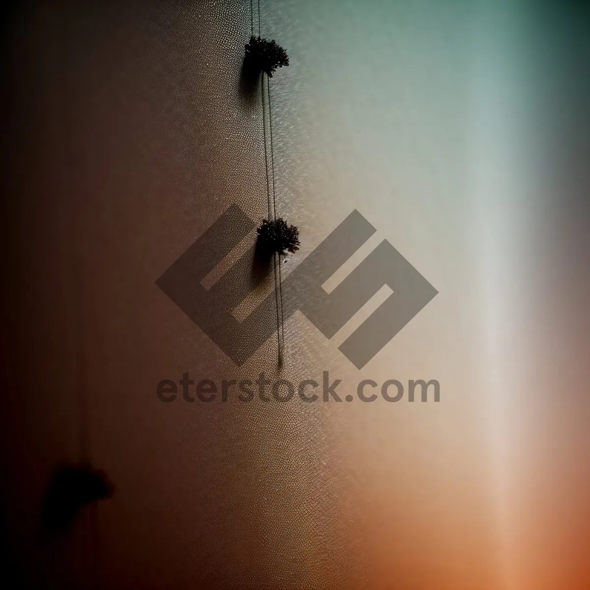 Picture of Serenity: Insect Silhouette at Sunset