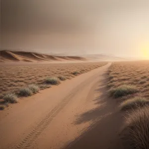 Sizzling Sands: Majestic Desert Landscape under Endless Summer Sky