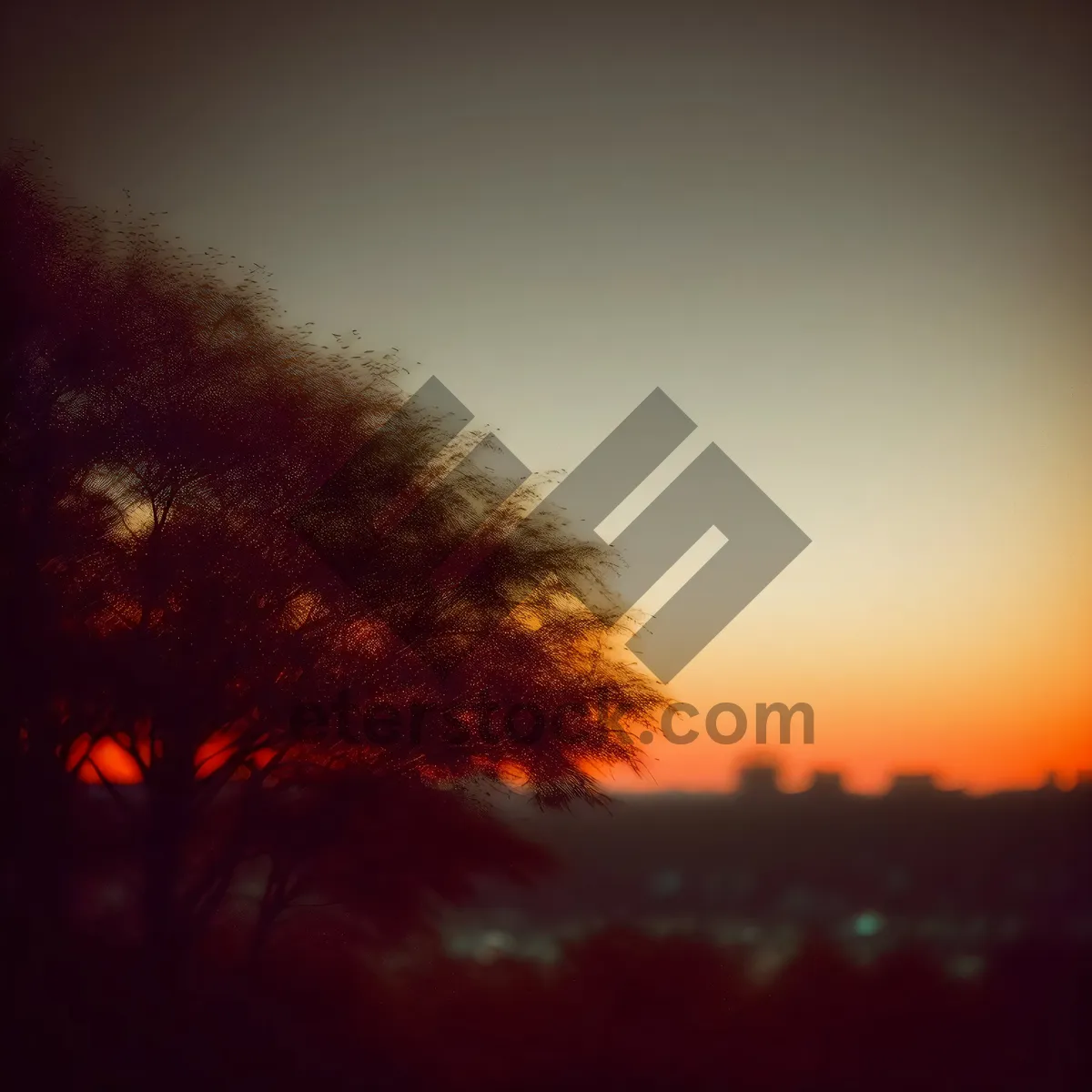Picture of Vibrant Sunset Sky with Tree Silhouette