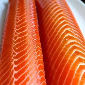 Freshly prepared salmon fillet on orange bangle