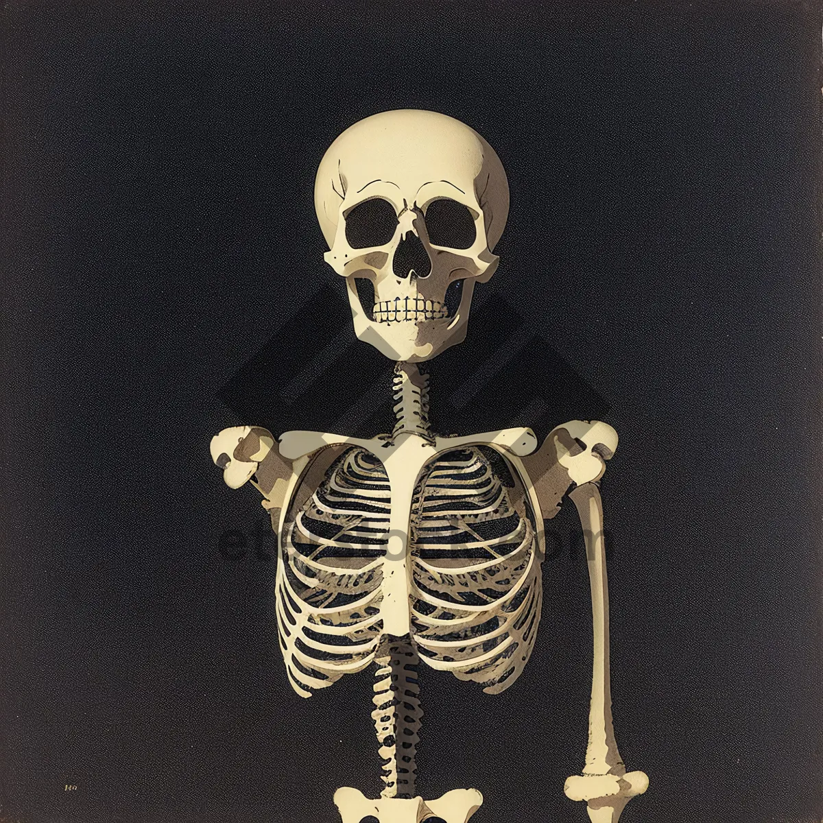 Picture of Spooky Skeleton Mask with Bone Covering