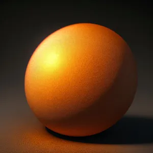 Fresh Round Orange Citrus Fruit on White Background