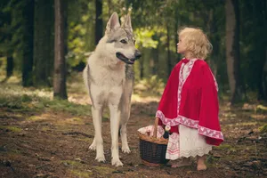 White Wolf Canine Portrait - Fierce and Beautiful Eyes