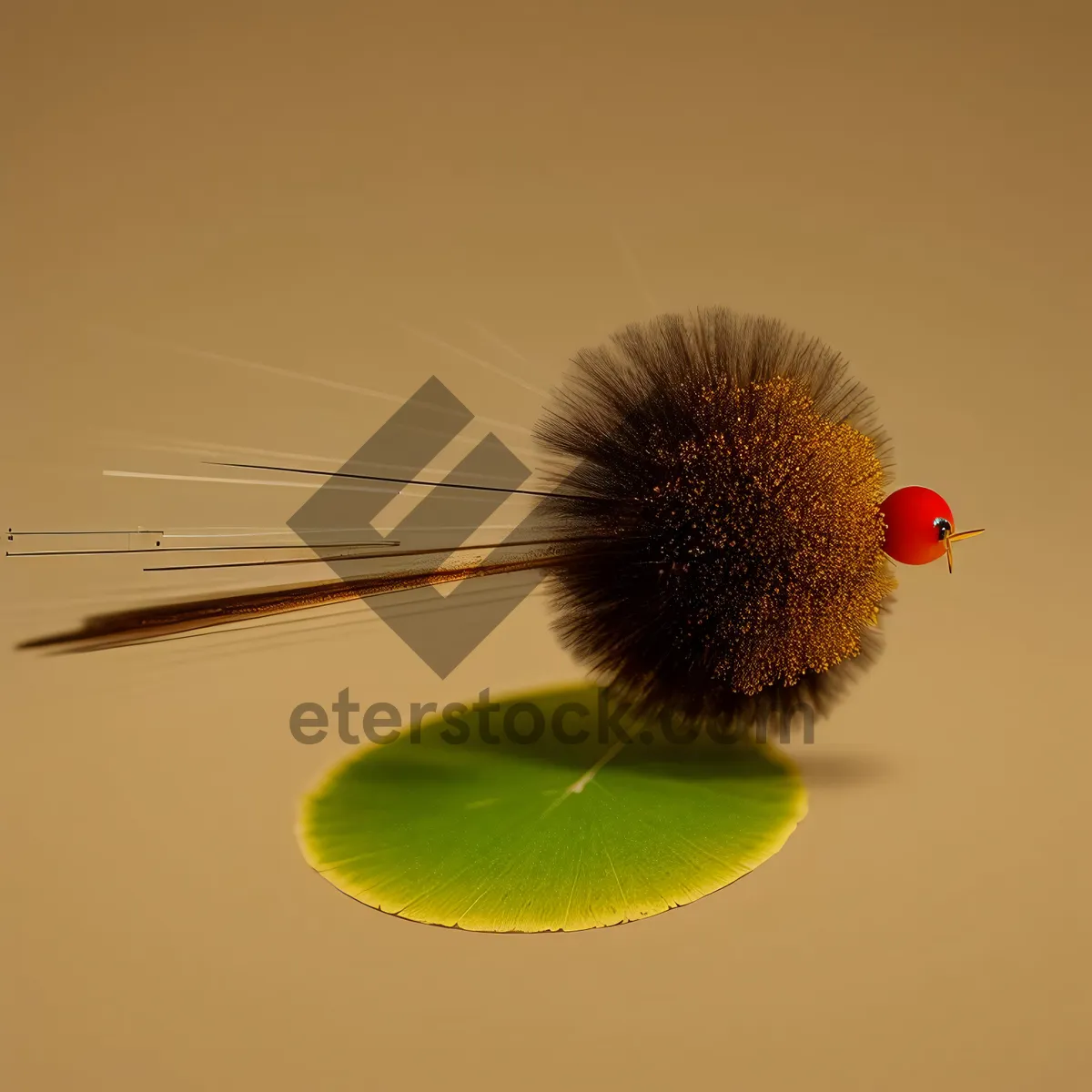 Picture of Teasel Bloom in Summer Garden