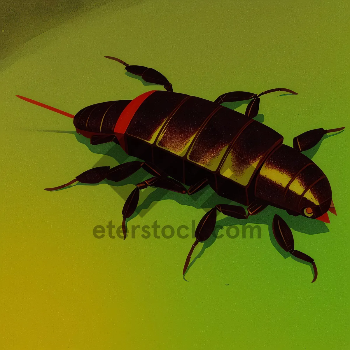 Picture of Close-up of Black Cockroach Beetle with Antenna