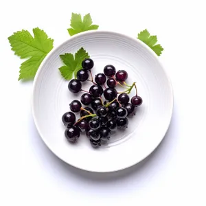 Juicy Black Currant Closeup-Fresh and Healthy Berry