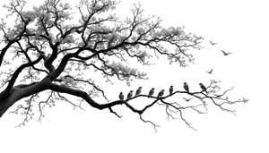 Silhouette of oak tree branches against sky.