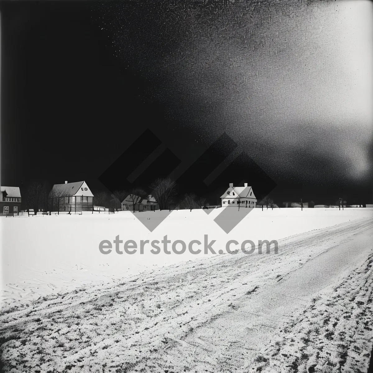 Picture of Winter Wonderland: Scenic Snowy Forest Landscape